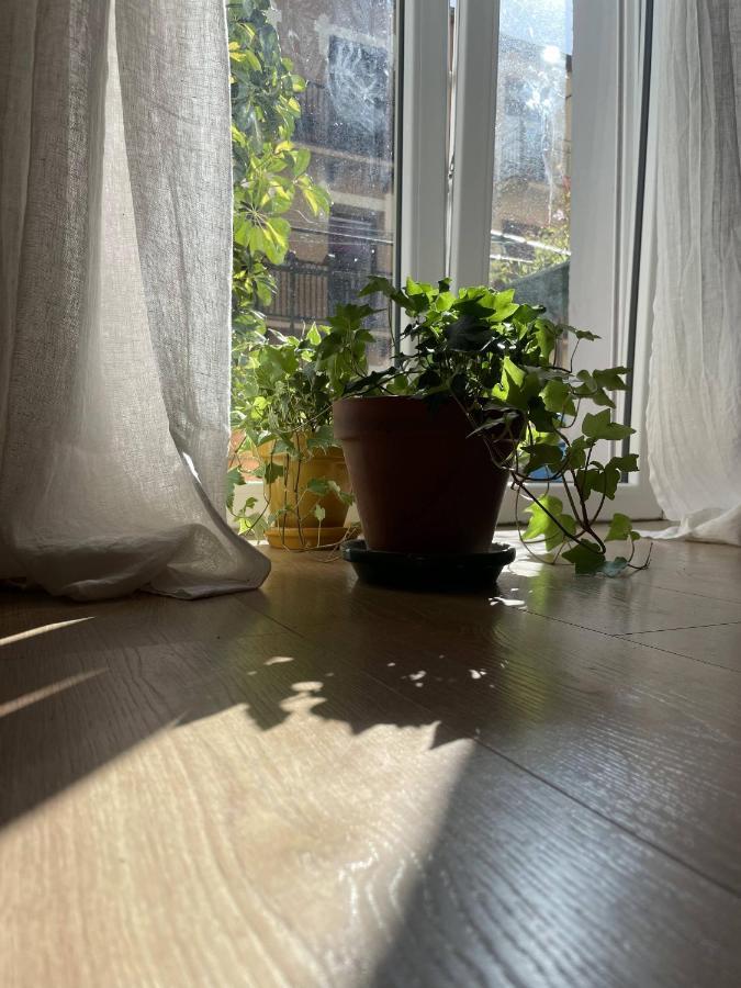 Bella Easo Apartamento 圣塞瓦斯蒂安 外观 照片